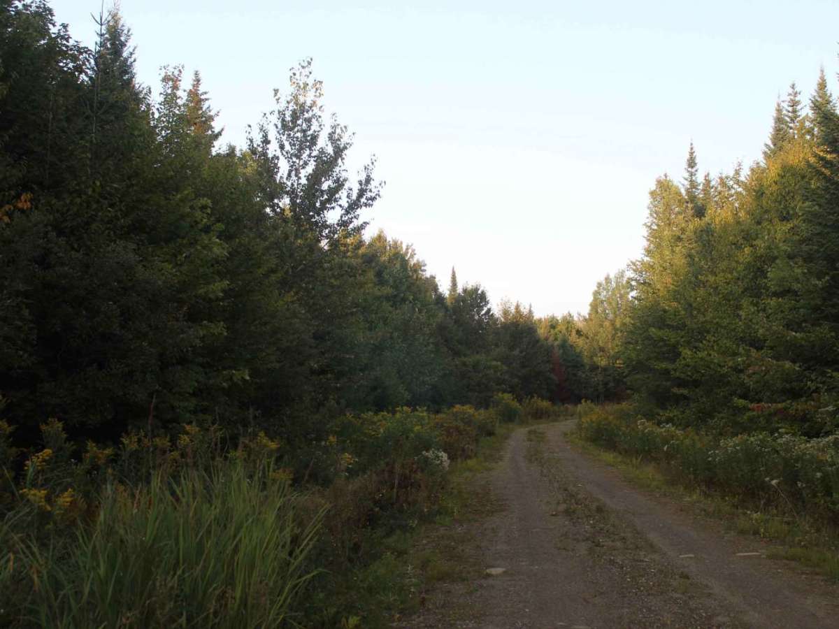 Gordons Trail photo 3