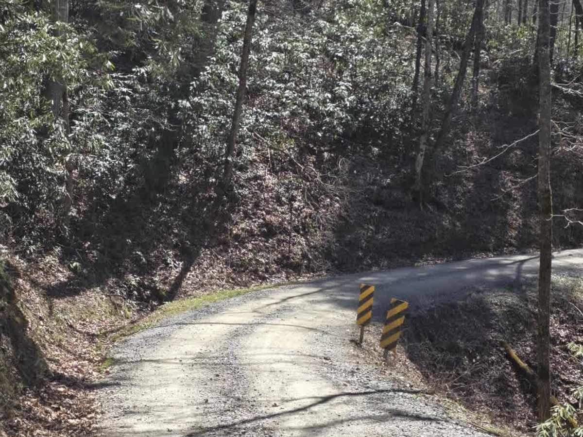 Cataloochee Creek Road photo 4