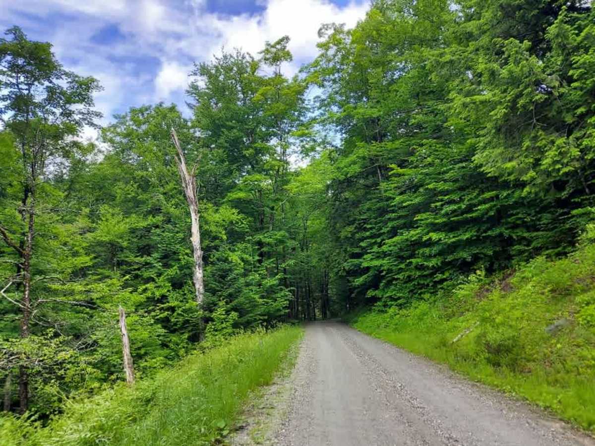 Bridgewater Hollow Road photo 5