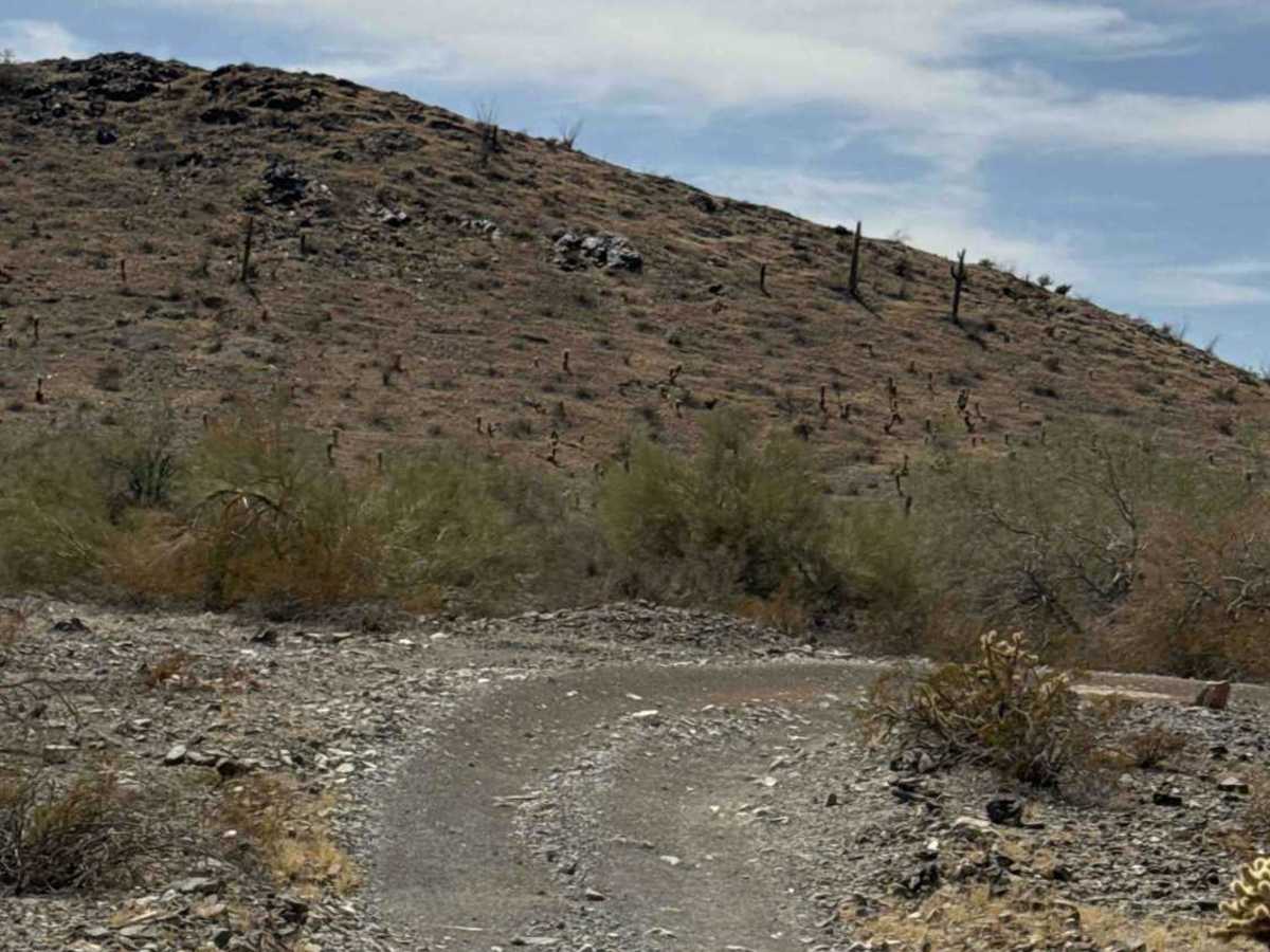 Desert Crossroads photo 6