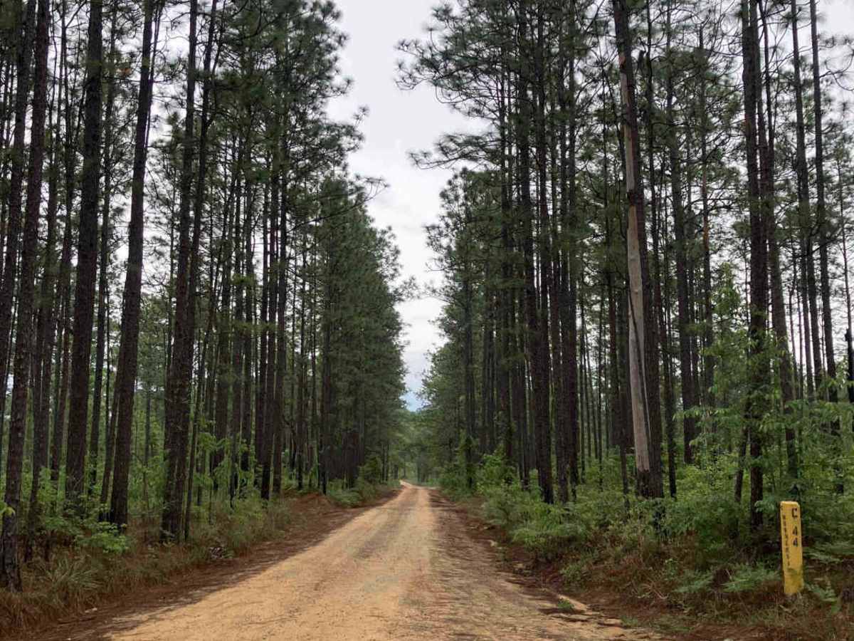 Camp Henderson Road photo 2
