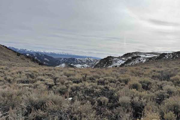 Campbell & Smith Creek Jeep Trail