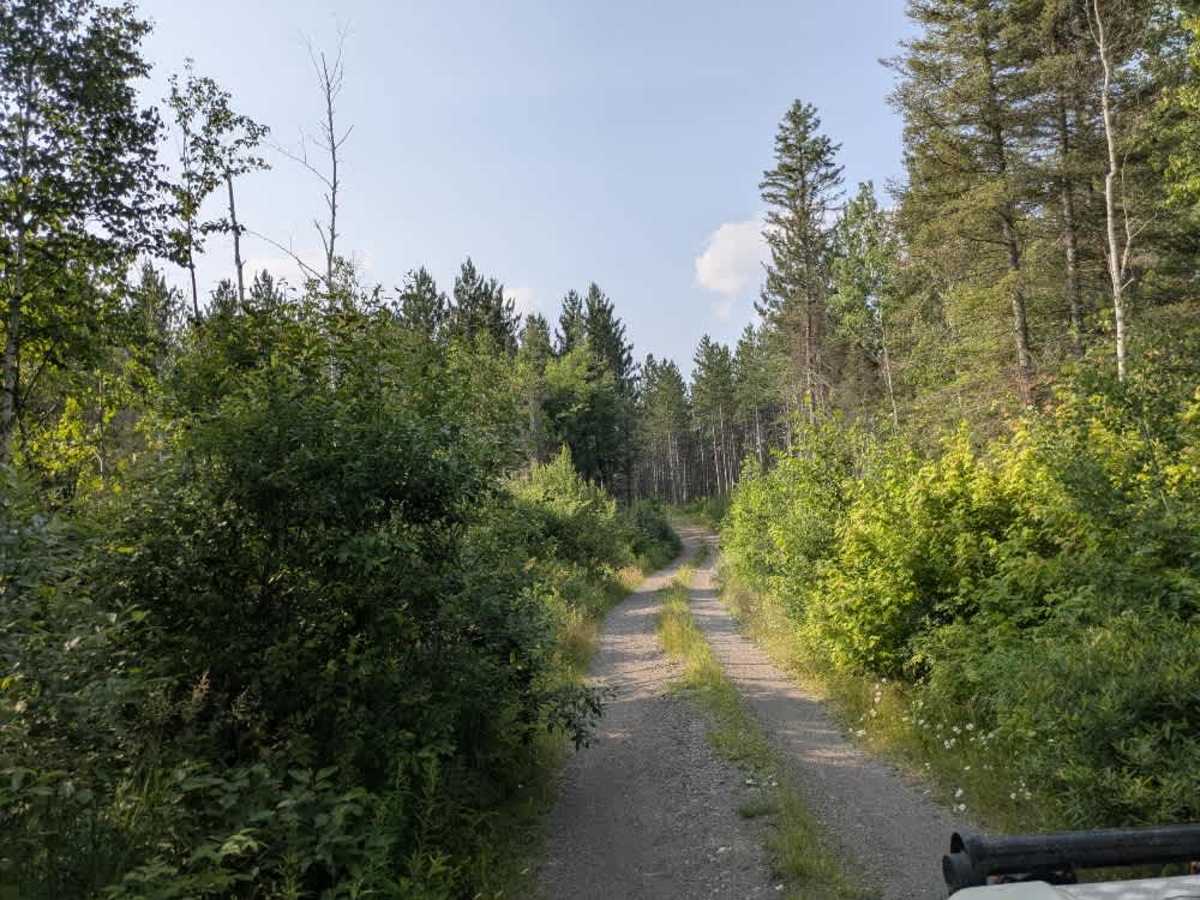 Old Silver Island Lake  trail photo