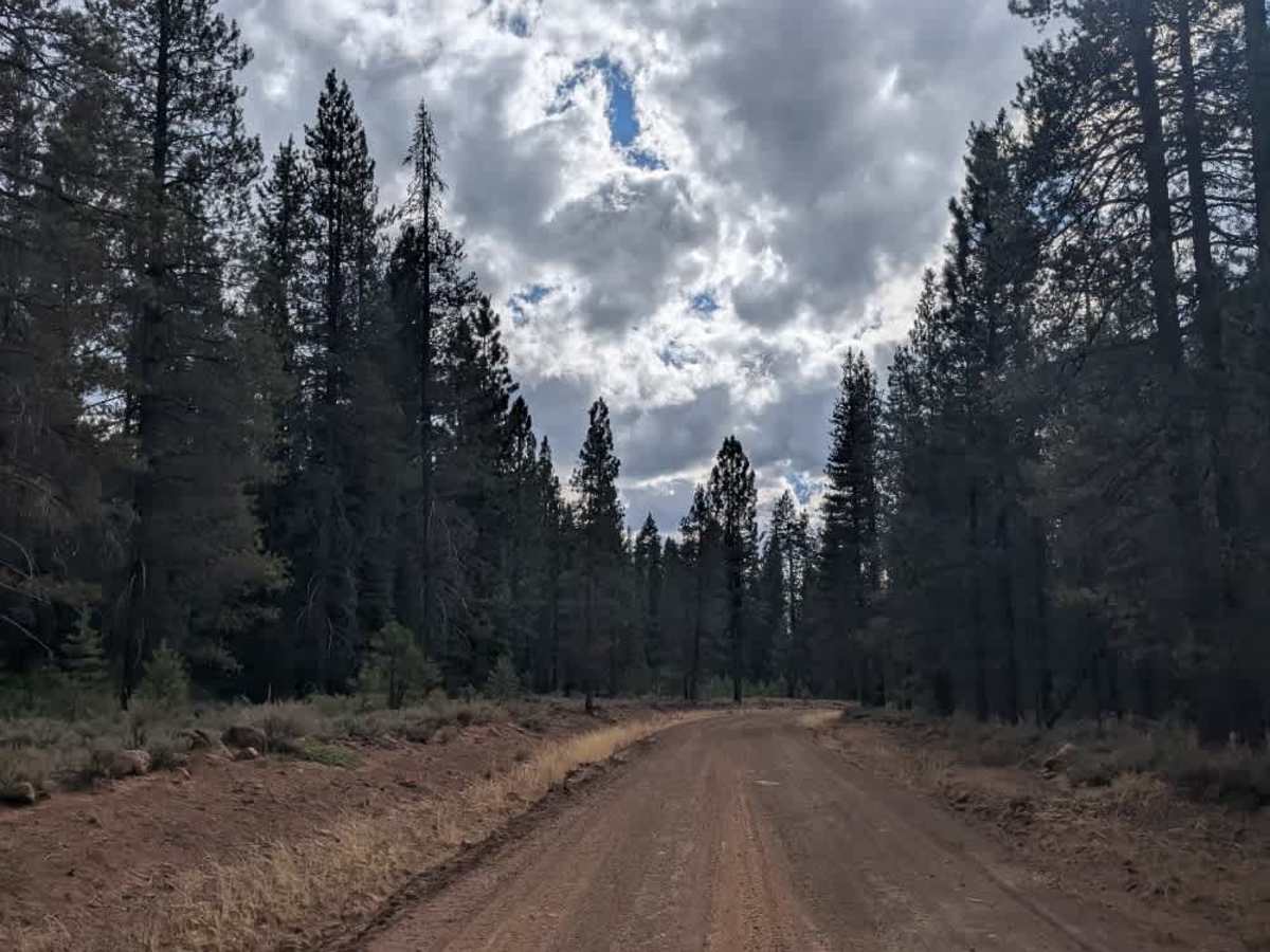 Bridge Creek Springs Road photo 2