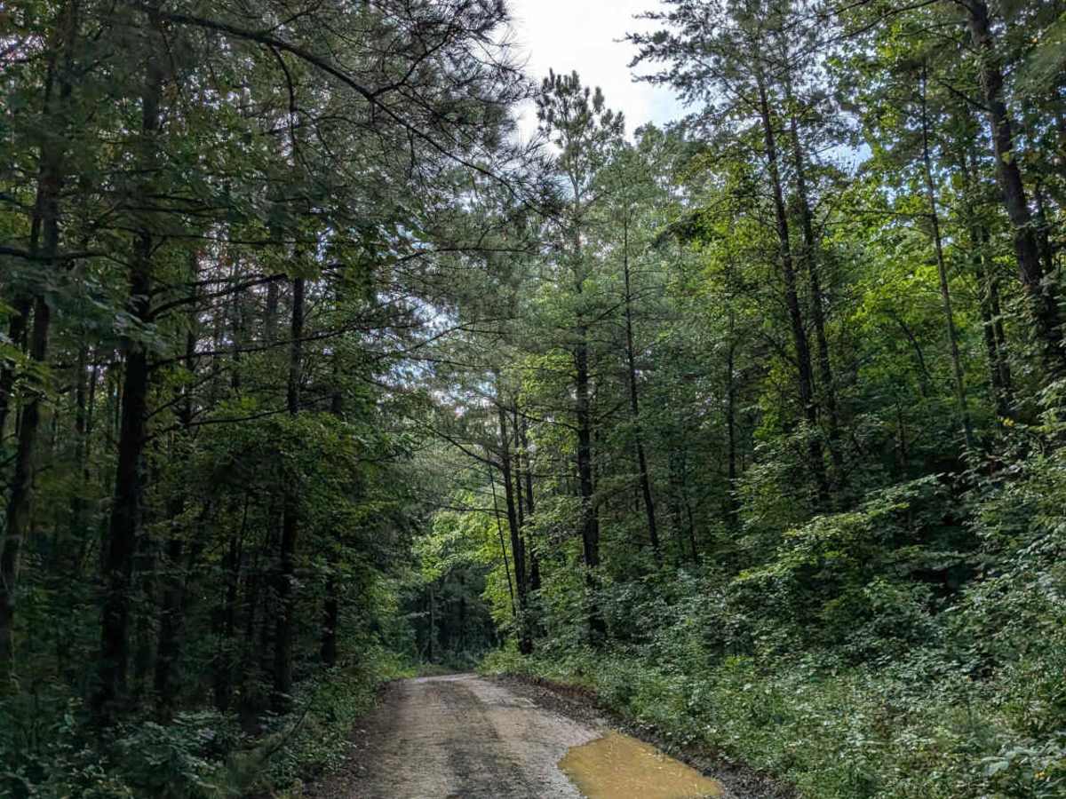 Lusk Point Road trail photo