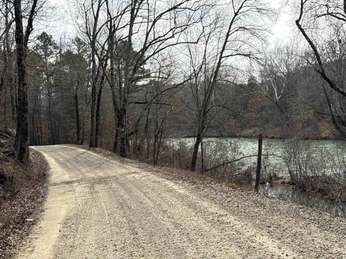 Jakes Creek Road photo 2