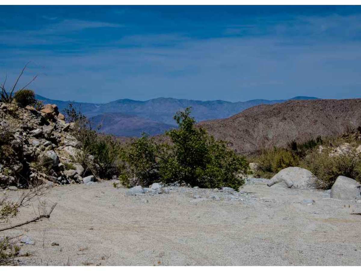 Nolina Wash Road photo 6