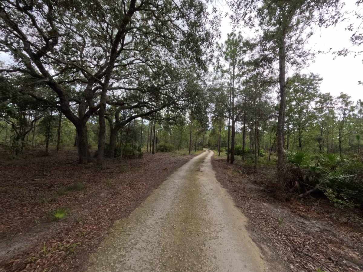 Powell Ford Road photo 2