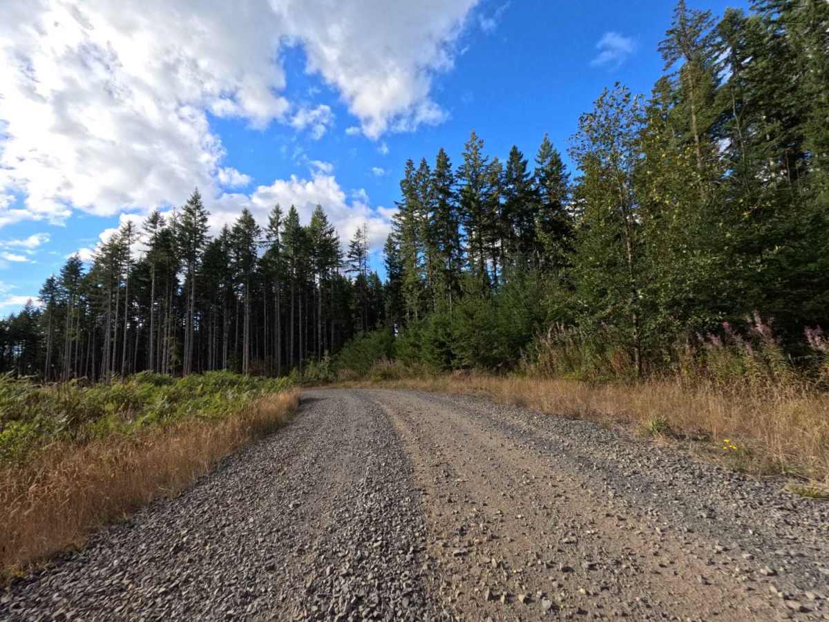 W-512 West trail photo