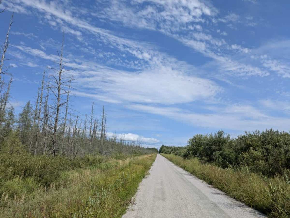 Faunce Forest Road photo 2