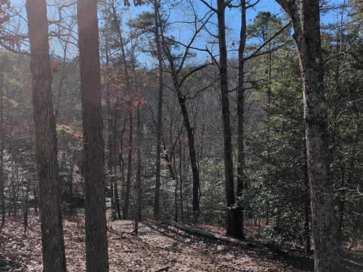 C7 Donnie's Hill (Bottom) photo 2