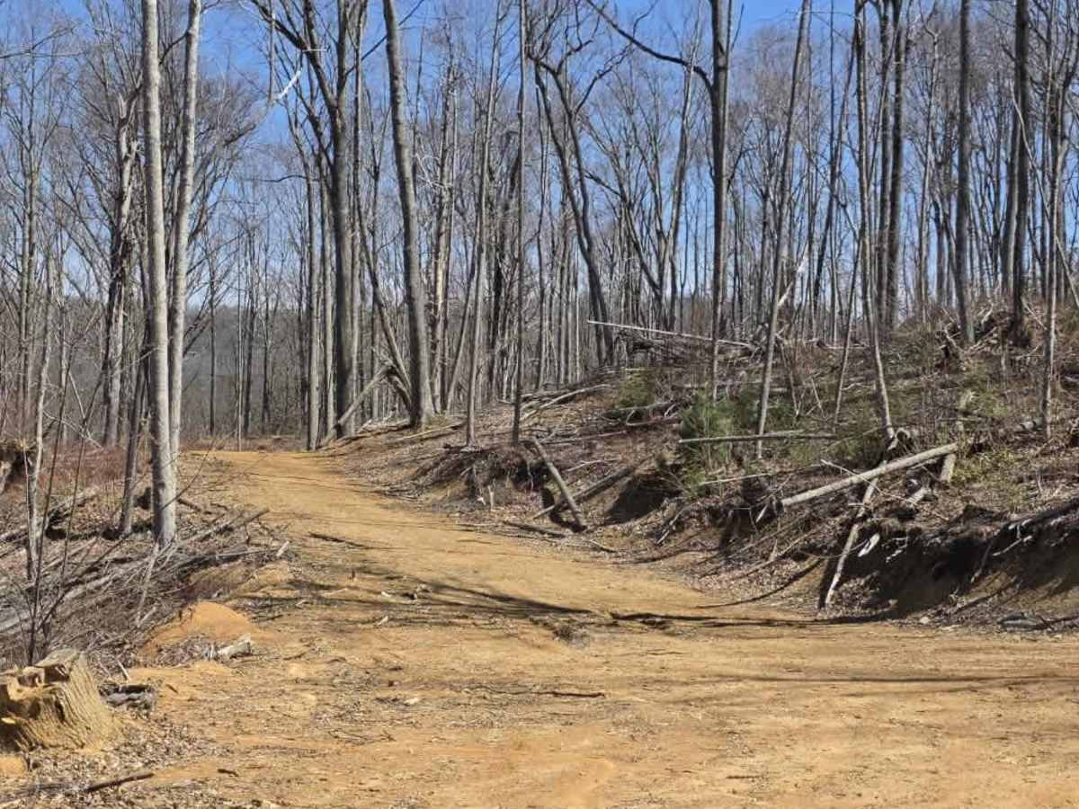 Cedar Gap photo 6