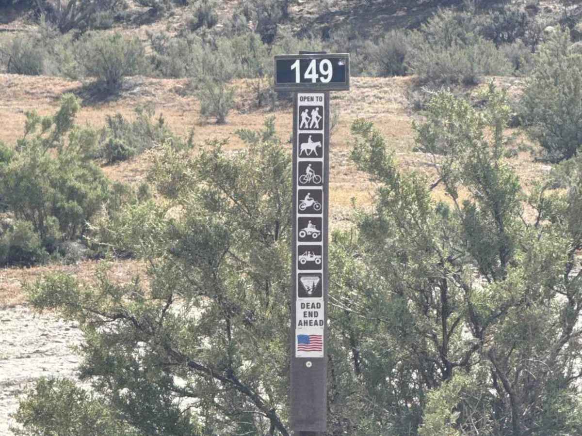 BLM 149 photo 4