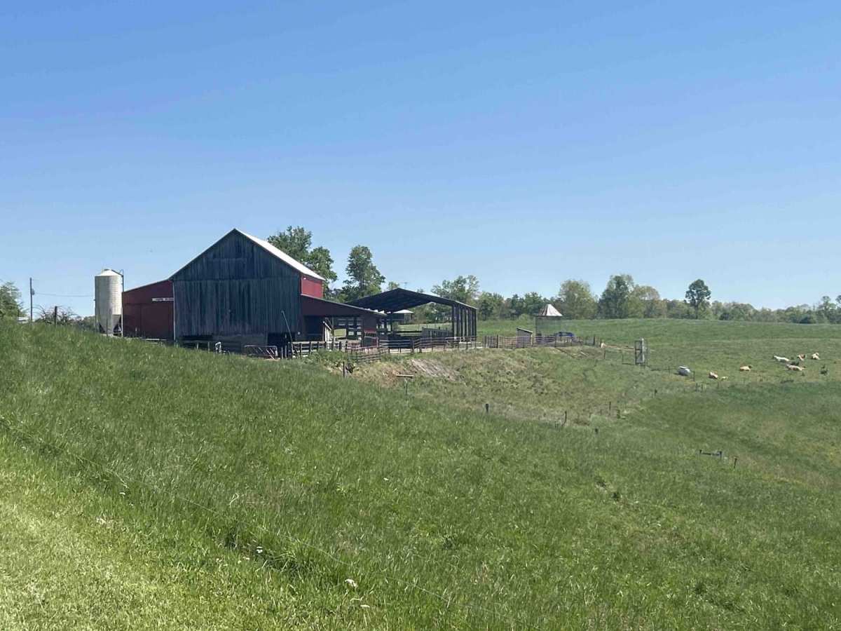 Hopewell Ridge  photo 5