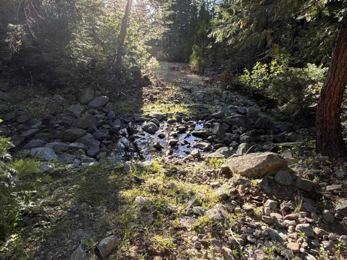 FS 7N59Y trail photo