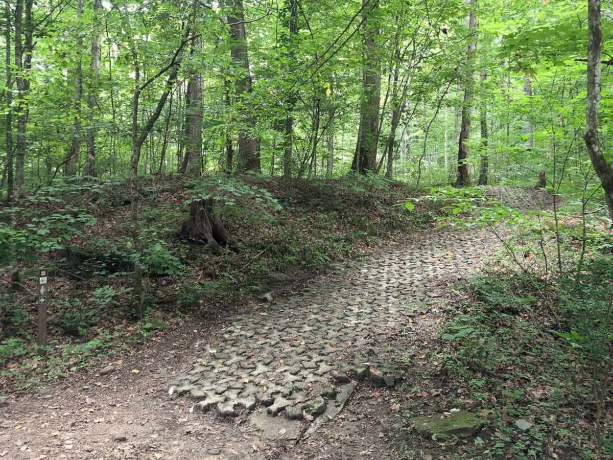 Sheltowee Trace Single Track - FS 100 photo 2