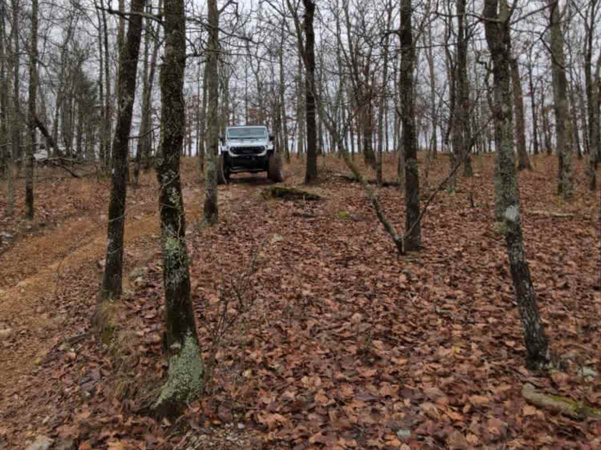 C18 Tanner's Hatchet photo 4