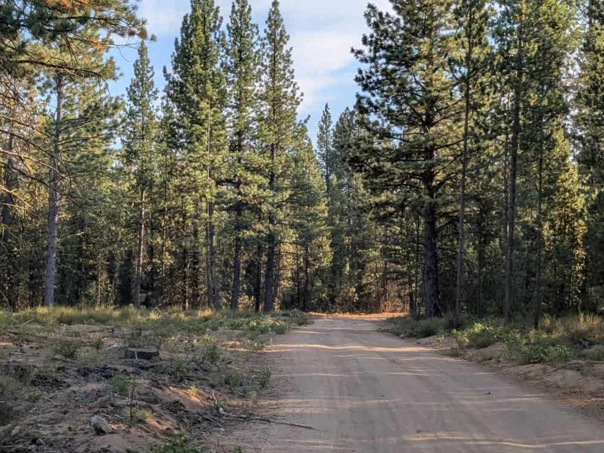 FS 4601310 trail photo