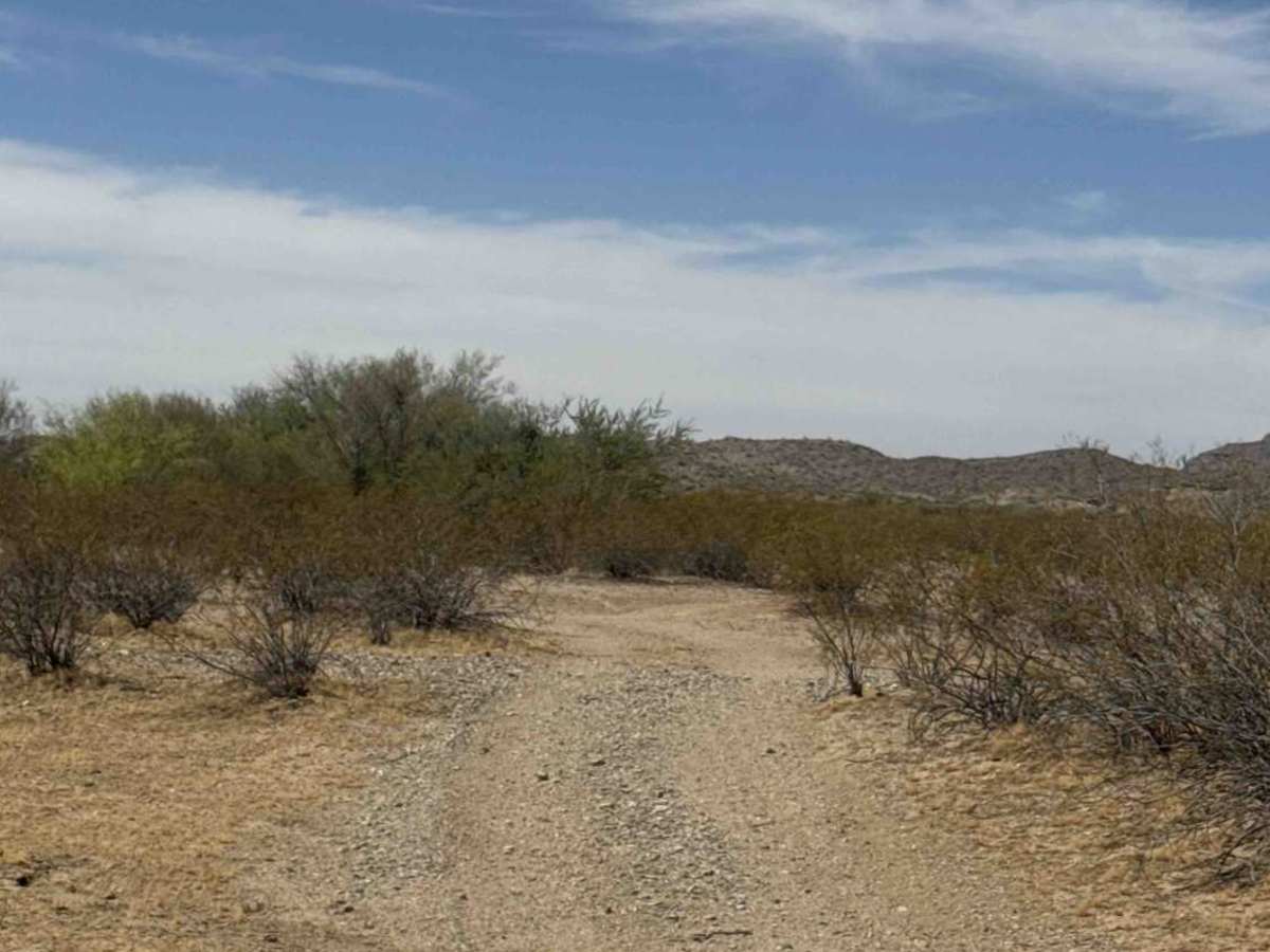 Hs58p trail photo