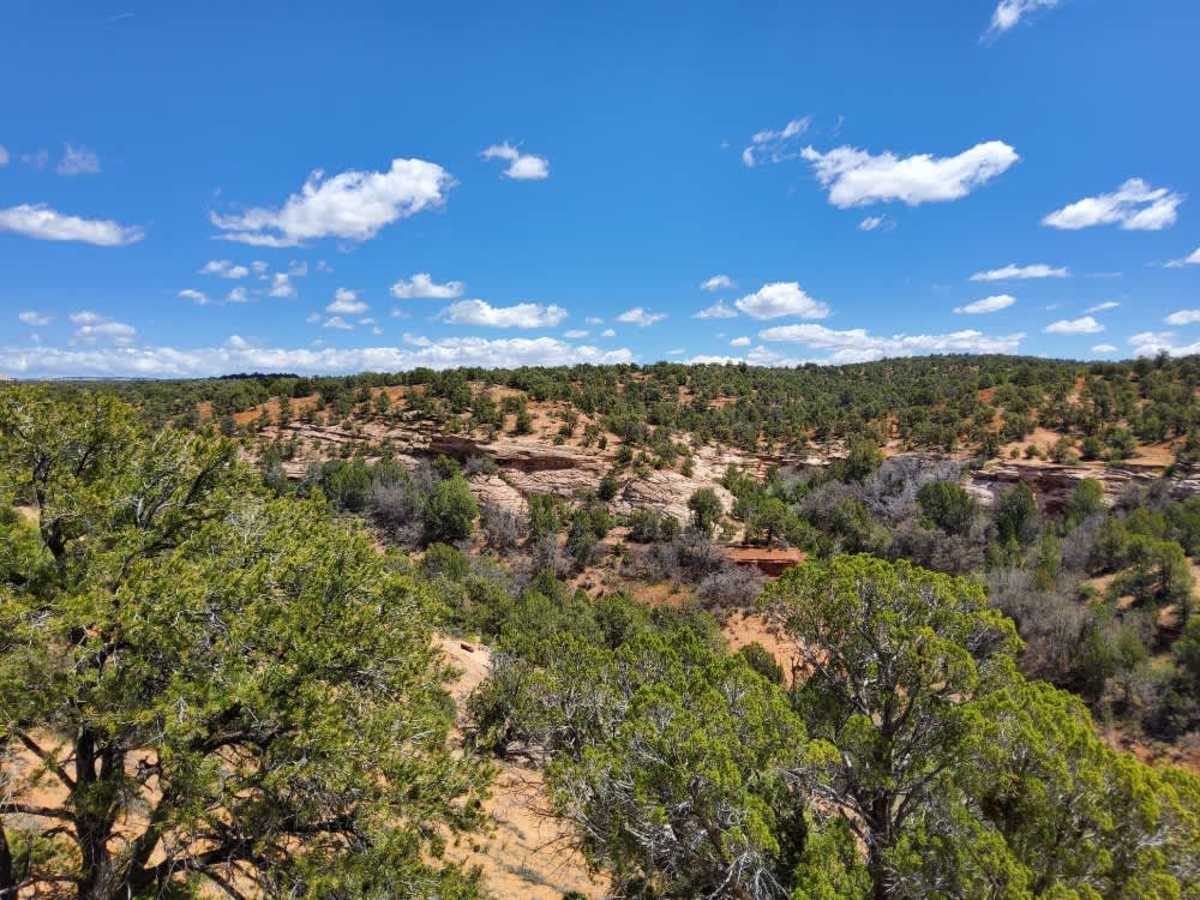 BLM 101G photo 4