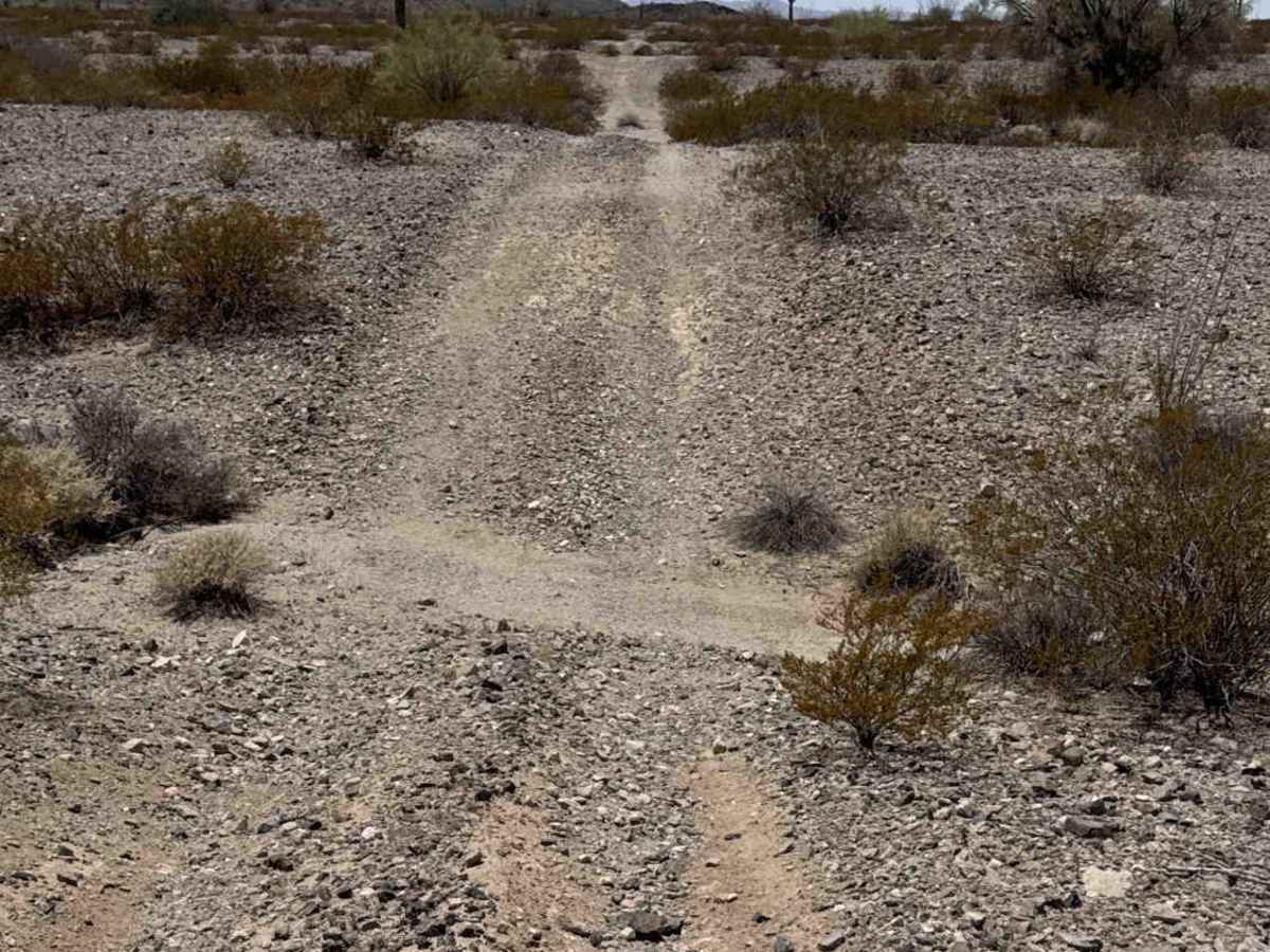 Across the Desert photo 5