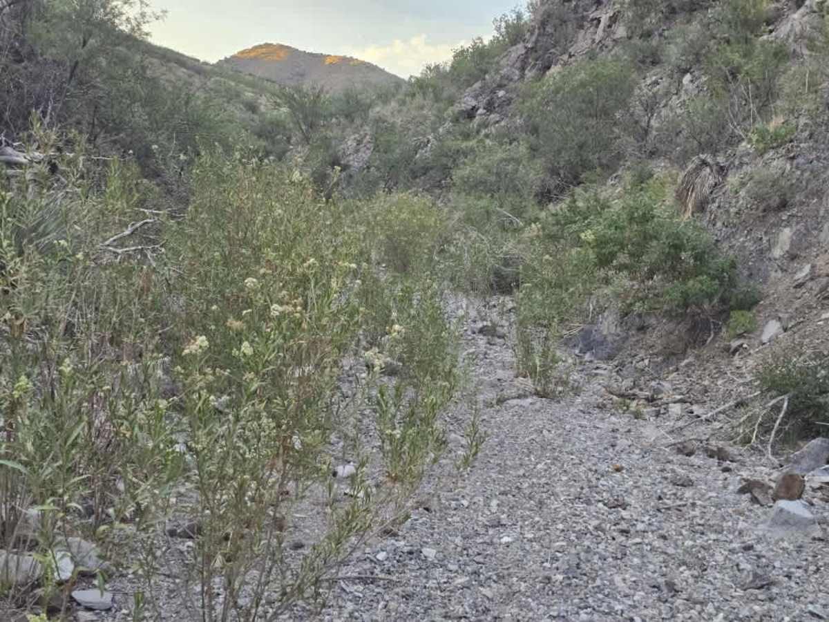 Proctor Trail photo 2