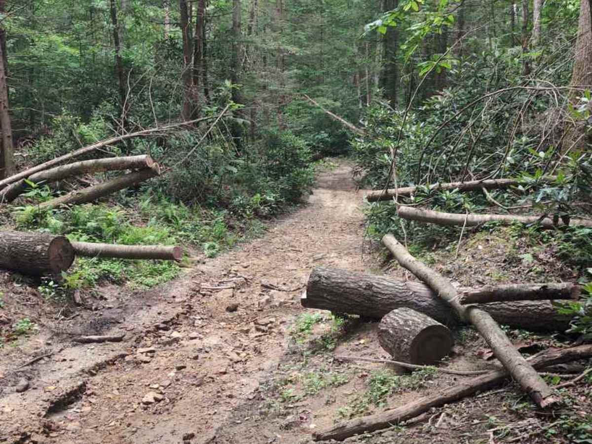 Sheltowee Trace West photo 6