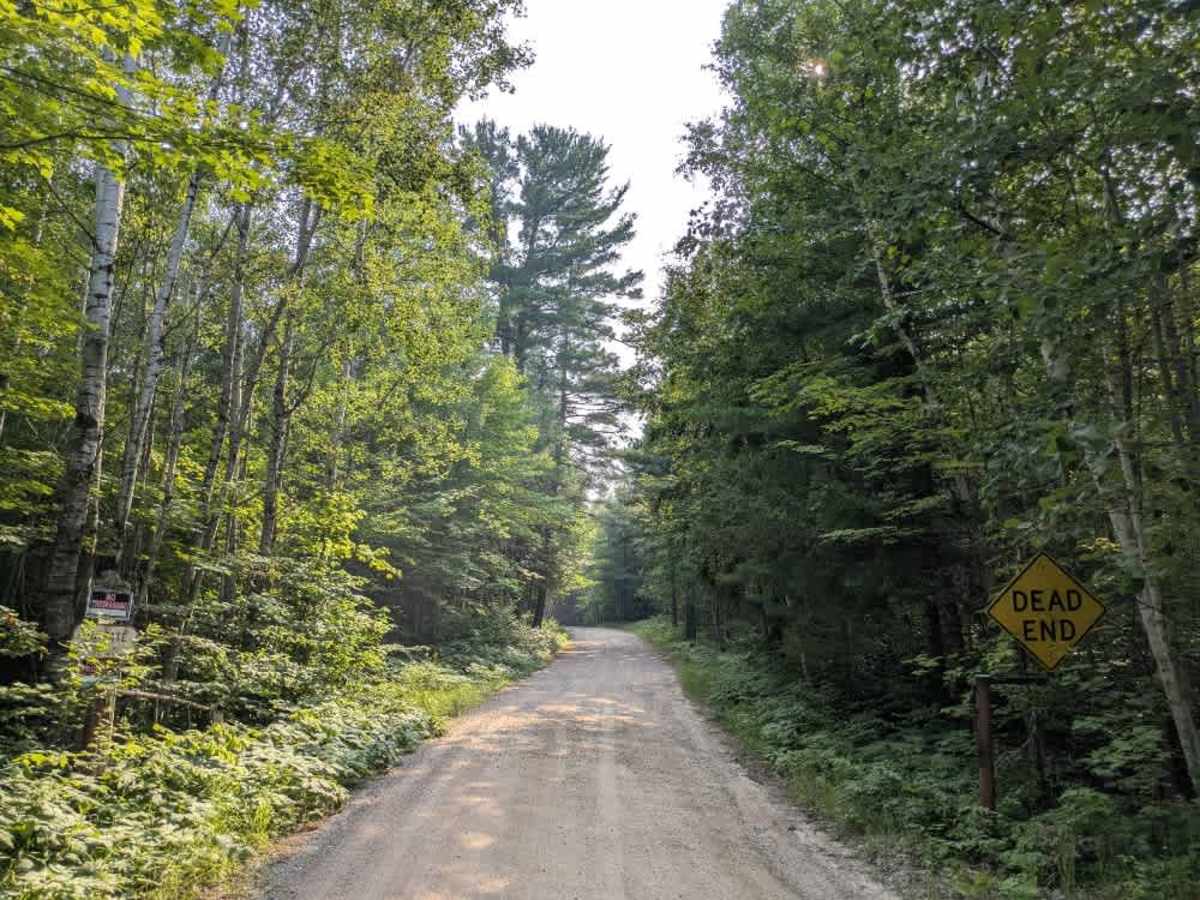 Niles Bay Forest Road photo 4