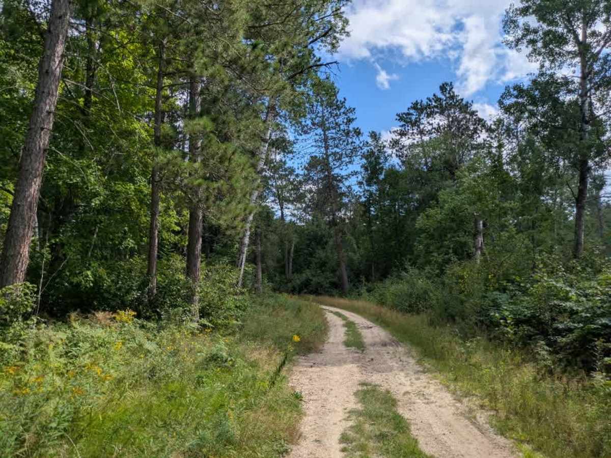 Loon Lake Road photo 3