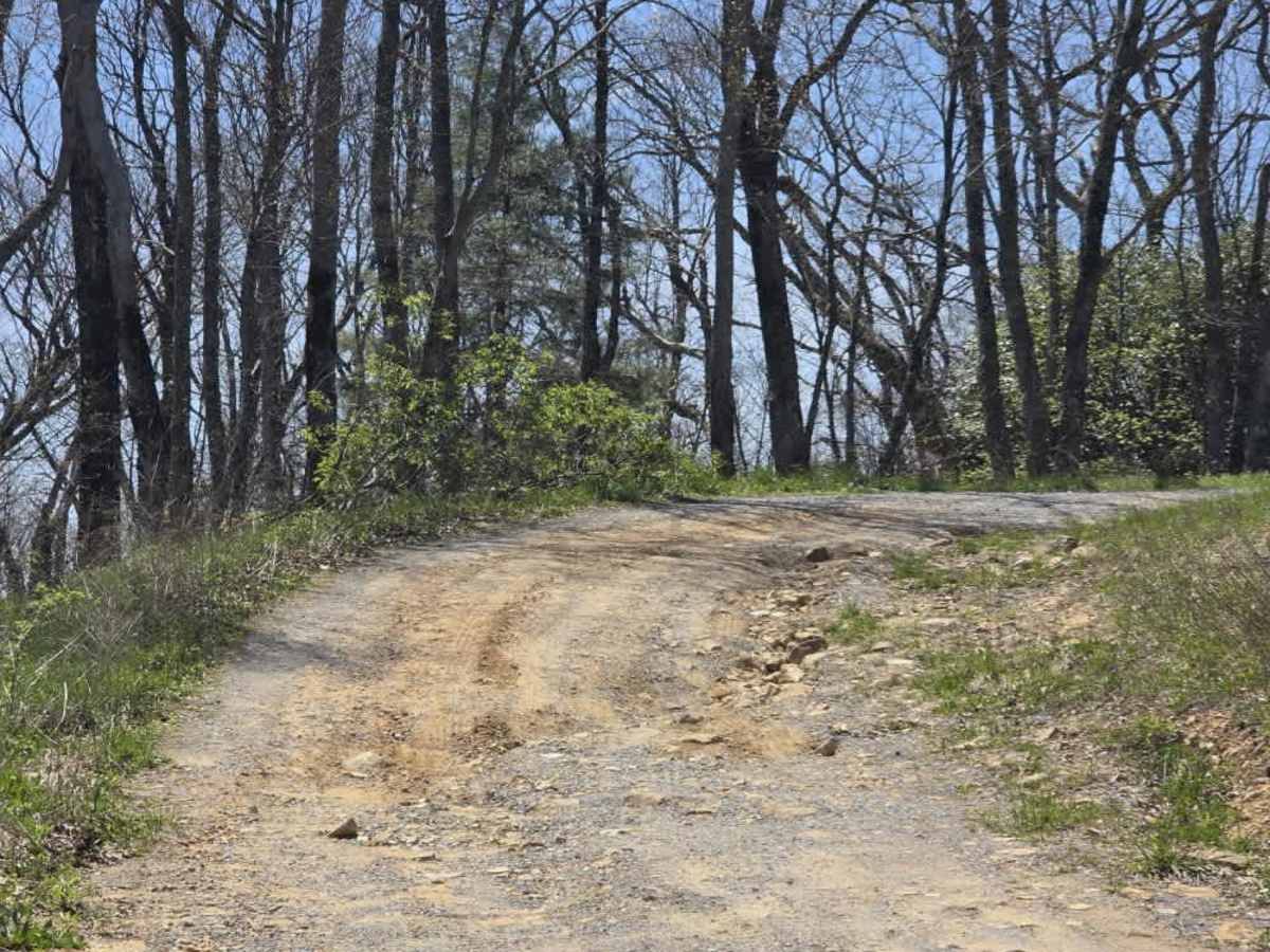 Holston Mountain Trail photo 3