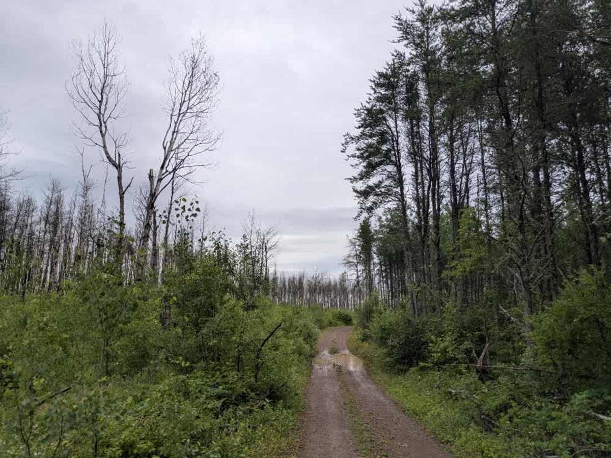 Jackpot Trail photo 2