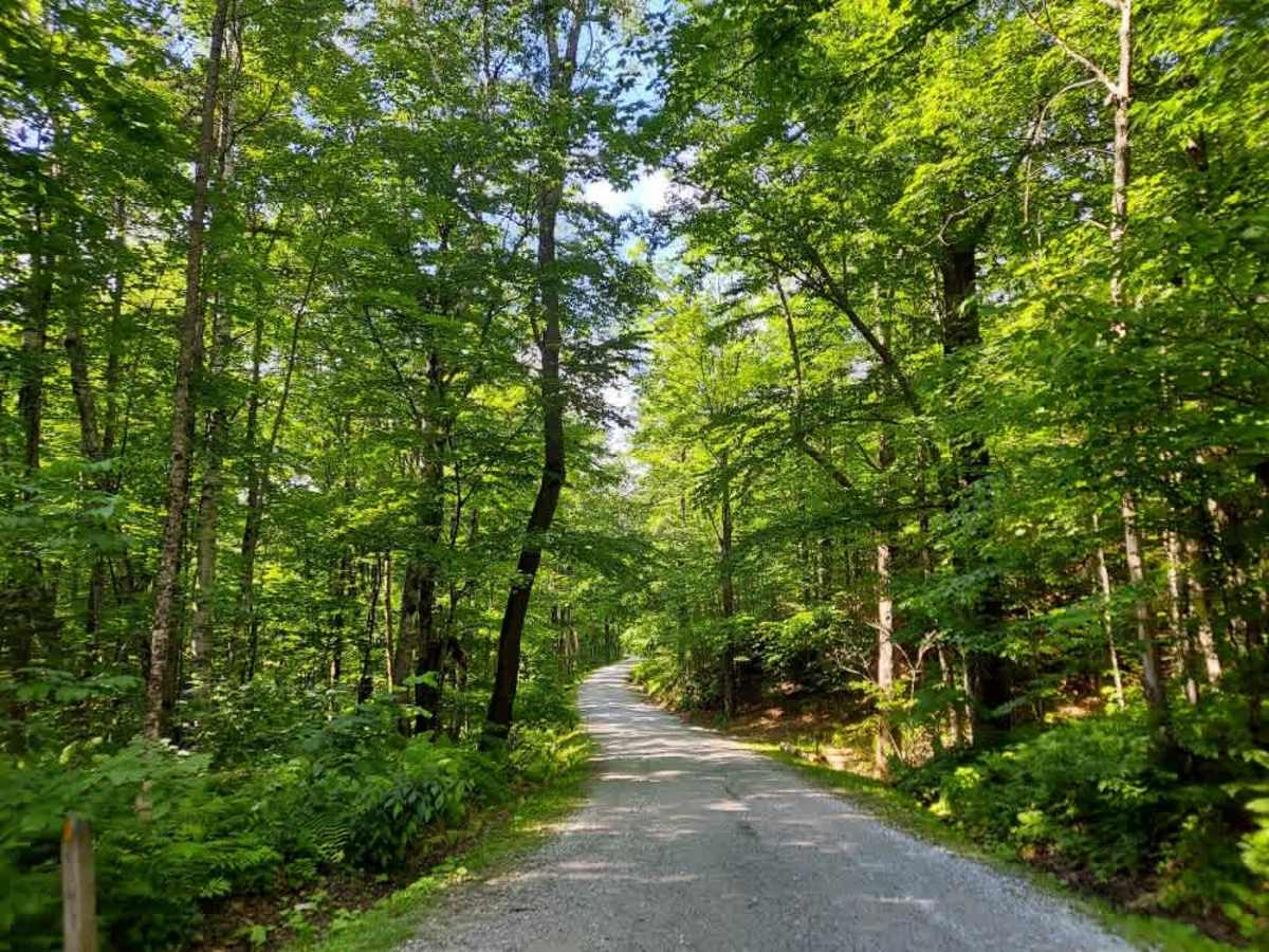 Coolidge State Park Road photo 3