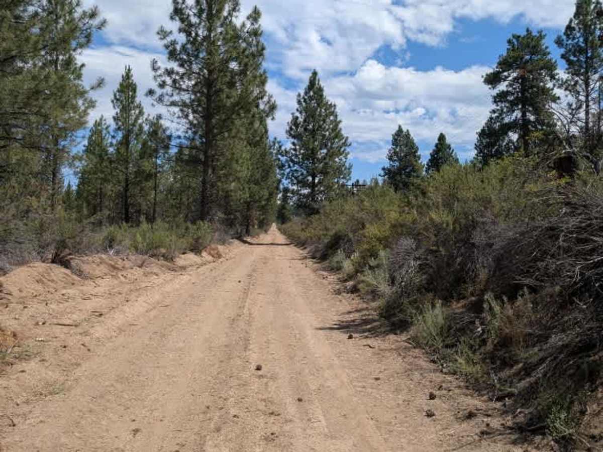 RR Access - FS 9730360 trail photo