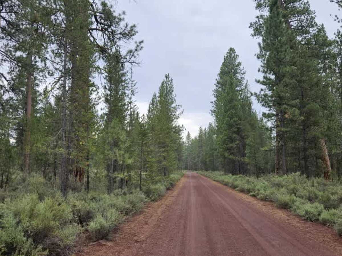 FS 8600000 trail photo