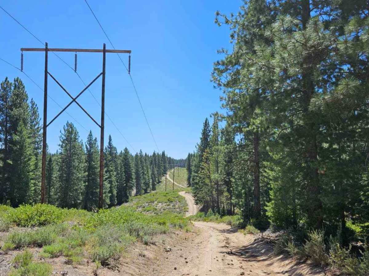 Powerline Road photo 2