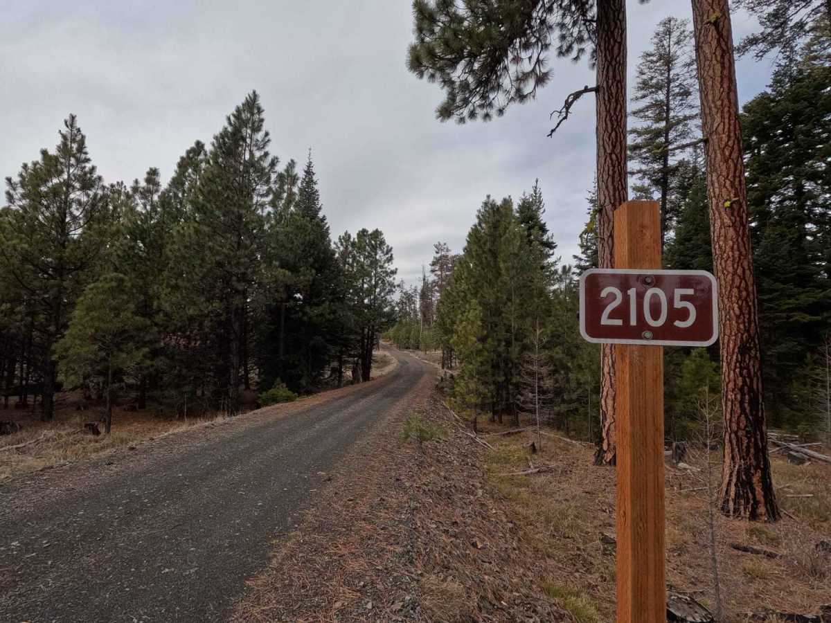 FS 2105 trail photo