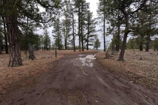Little Caribou Road