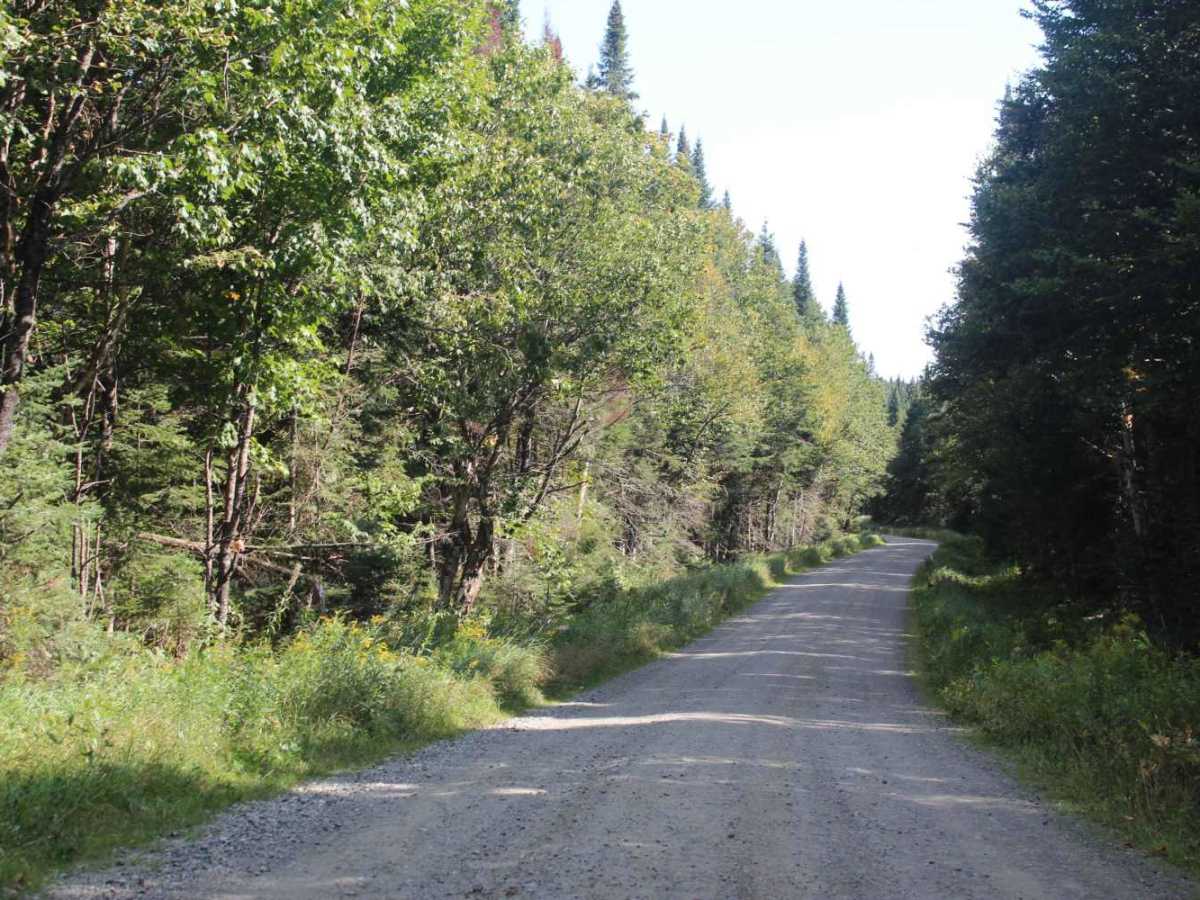 East Inlet Road photo 2