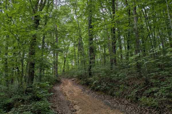 Inman Loop Road