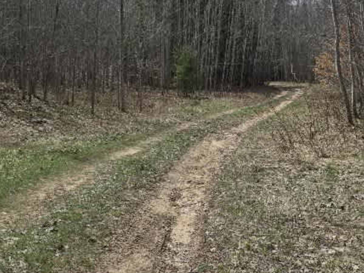 Holms Road Loop photo 4