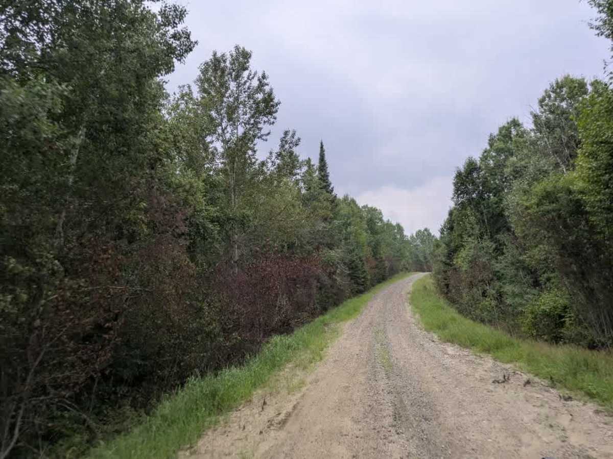 Camp 90 Forest Road photo 5