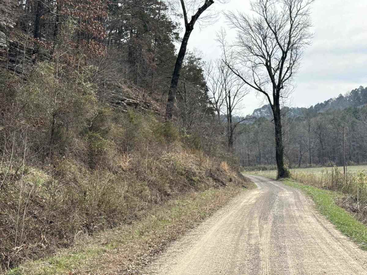 Jakes Creek Road photo 6