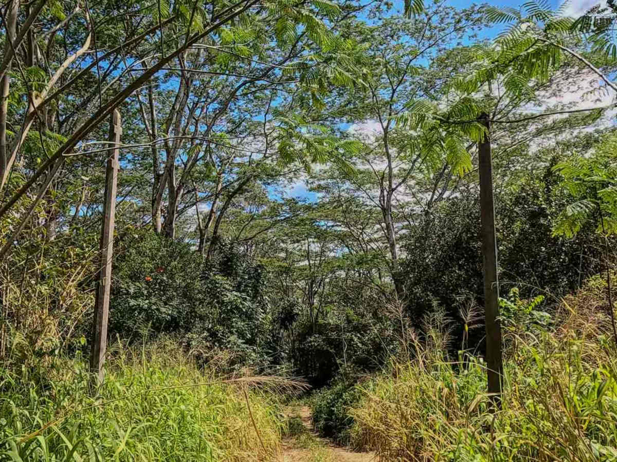 Jurassic Park Gate Trail trail photo