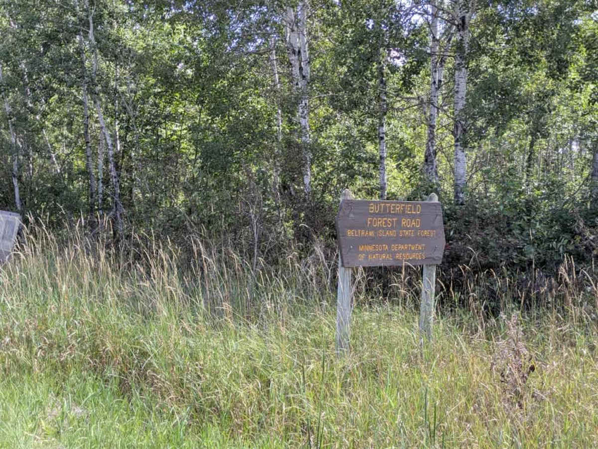 Faunce Butterfield Forest Road photo 3