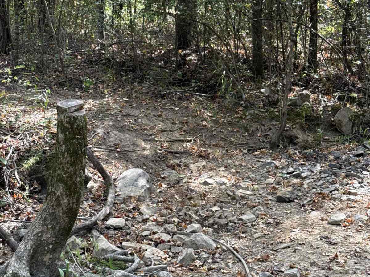 Kane's Spring trail photo