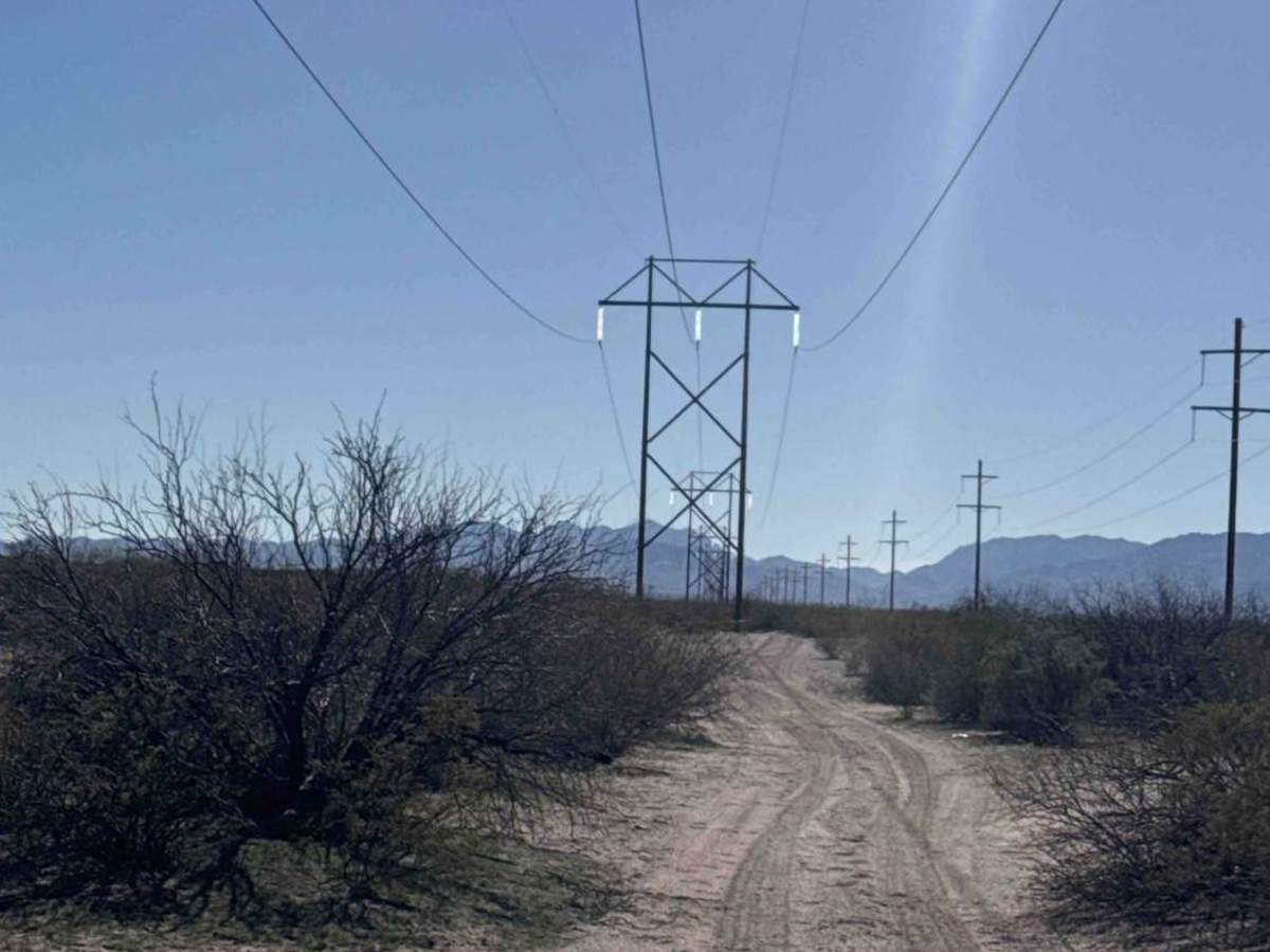 Ss1010 photo 2