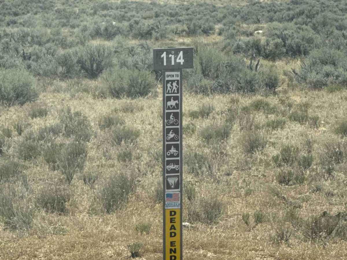 BLM 114 photo 4