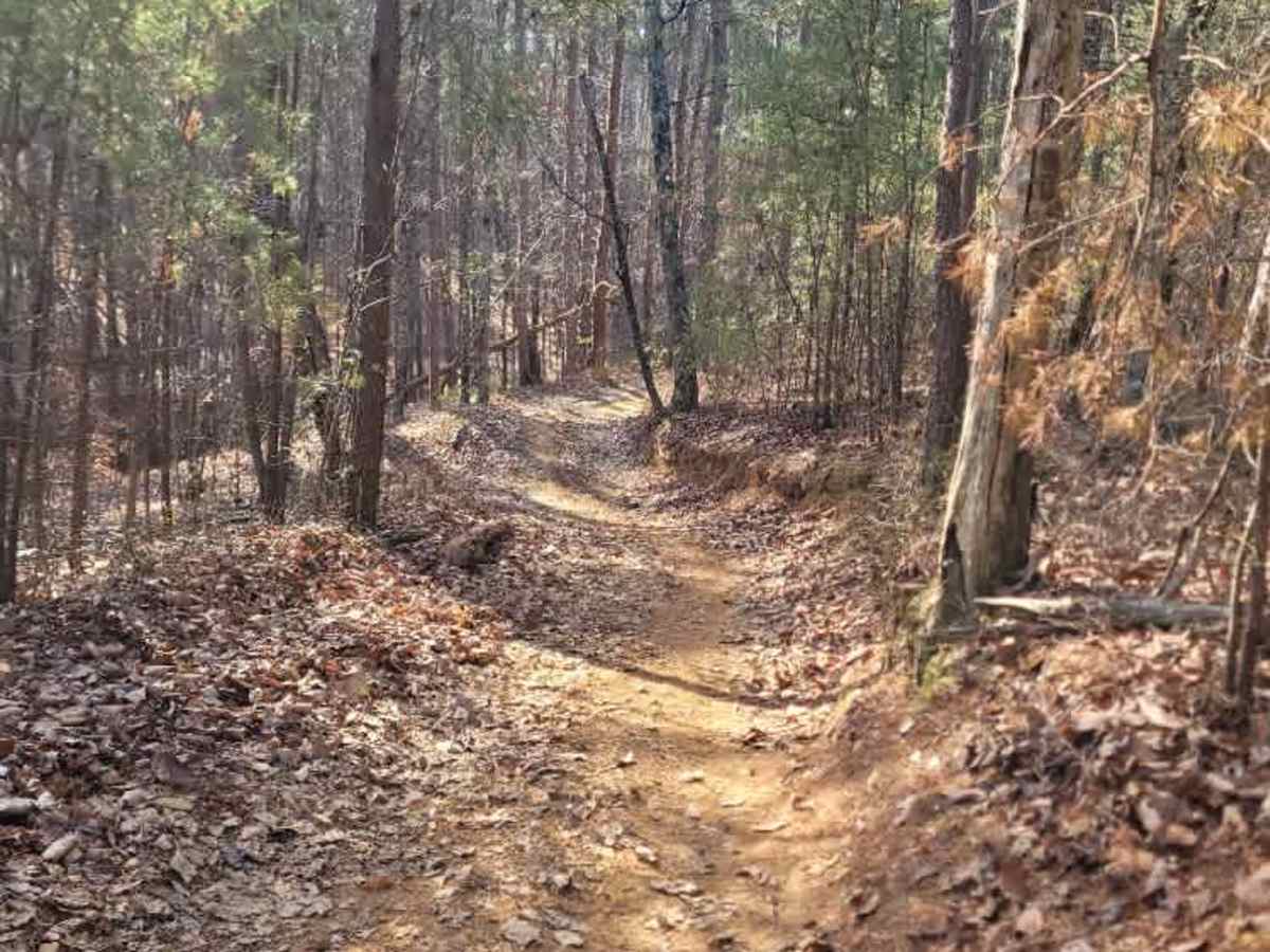 181-C trail photo