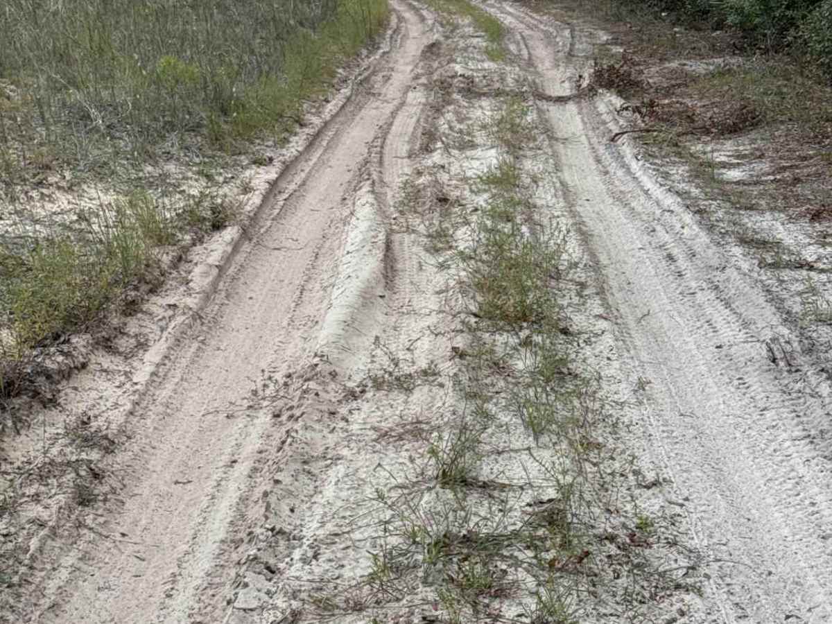 South Powerline Road photo 6