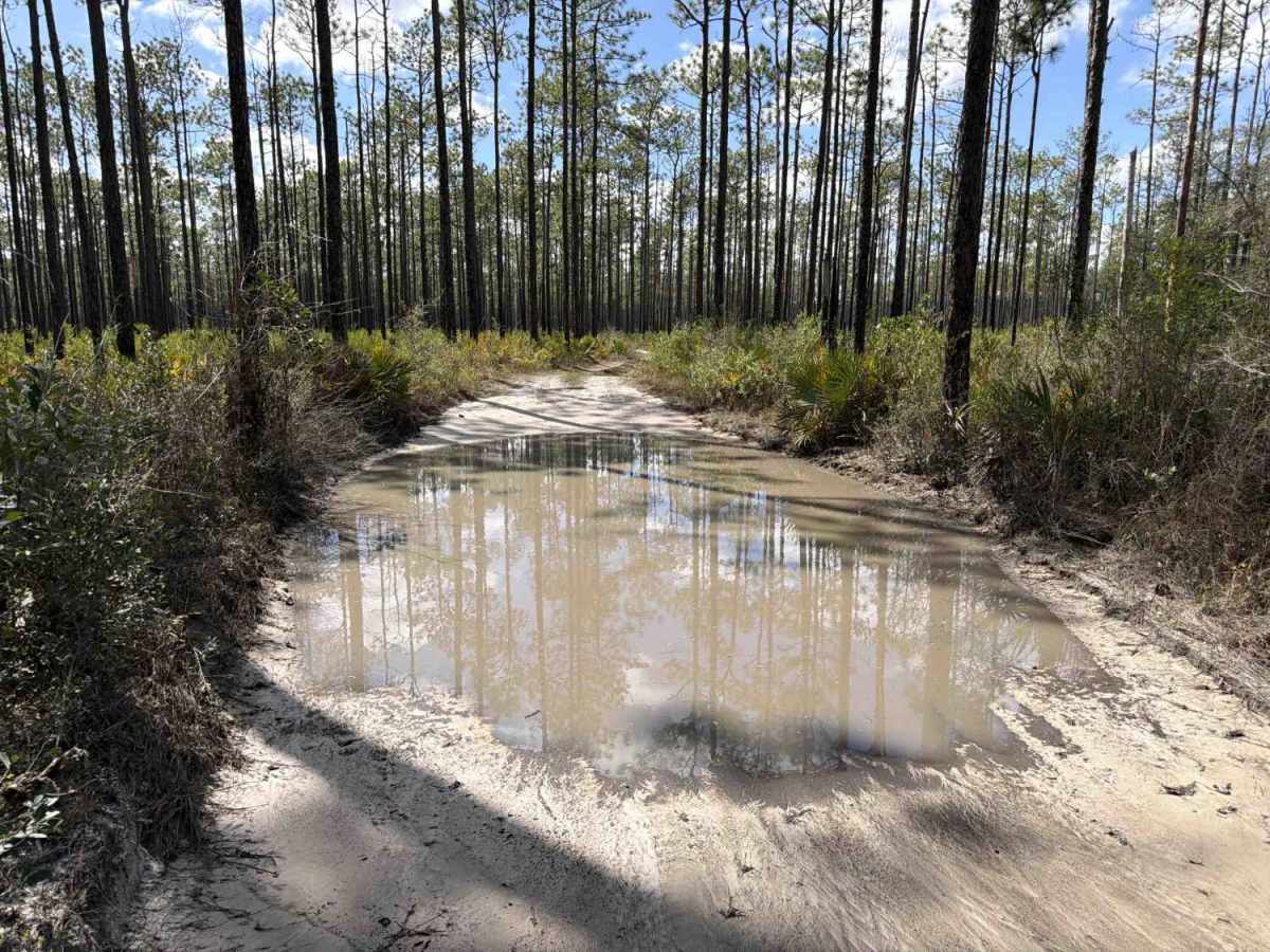 FS 309-F trail photo
